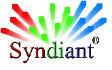Styndiant logo